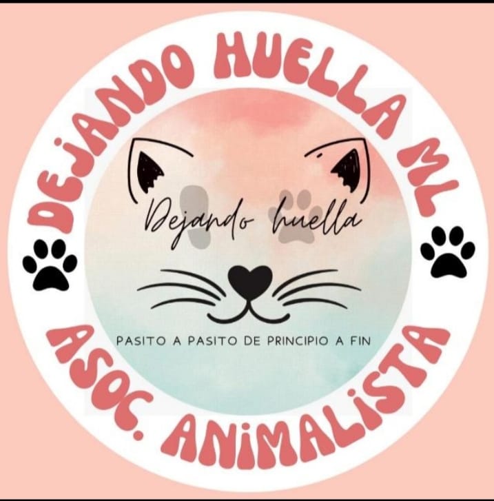 Logo Dejando Huella ML