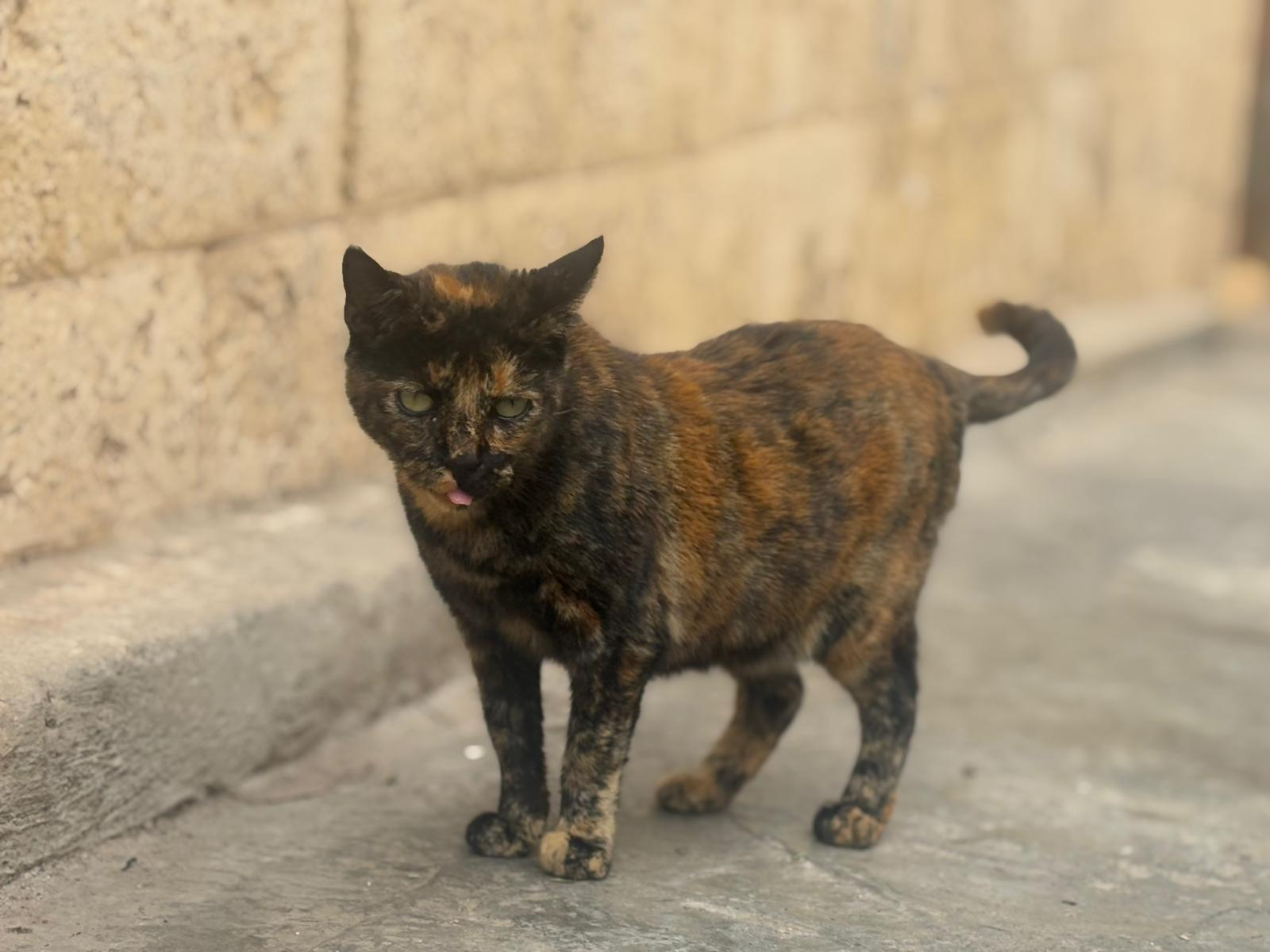 Luna